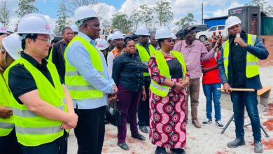 Manica terá fábrica processadora de madeira