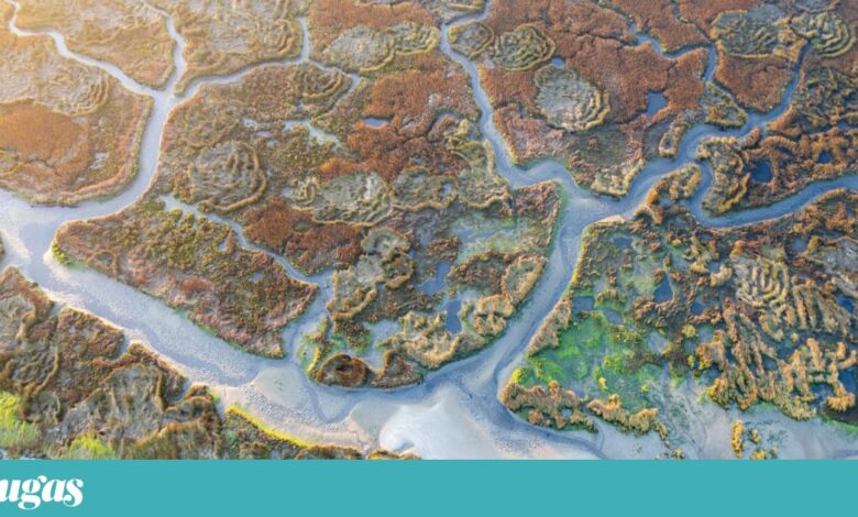 Mário Cunha eleito Fotógrafo de Paisagem do Ano no Imaginature