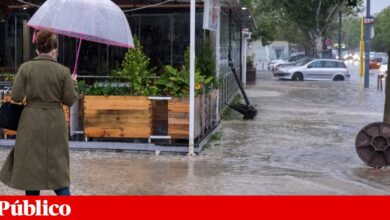 Mau tempo: Protecção Civil registou 102 ocorrências sem feridos nem desalojados