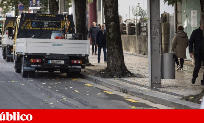 Mubi avança com providência cautelar para travar remoção de ciclovia em Gaia