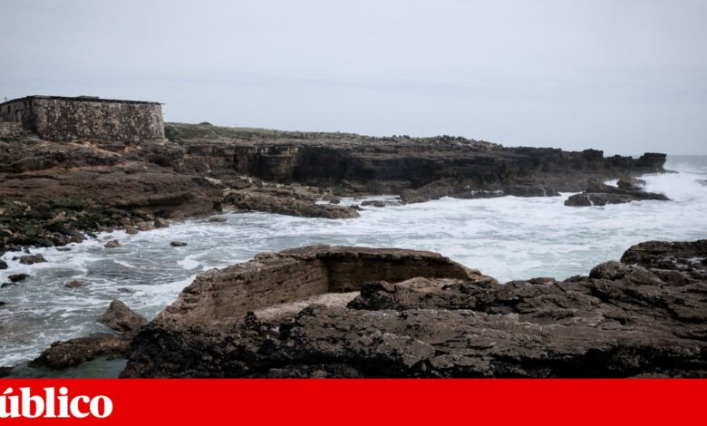 Municípios adjudicam estudos para futura Área Marinha Protegida de Cascais, Mafra e Sintra