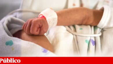 Neonatologia do Dona Estefânia e da Maternidade Alfredo da Costa podem ficar “num só pólo”