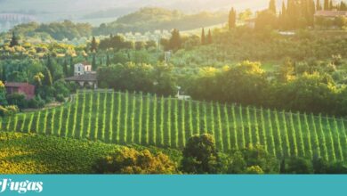 No Outono, pela Toscana das vinhas e dos ciprestes