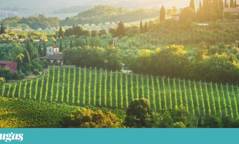 No Outono, pela Toscana das vinhas e dos ciprestes