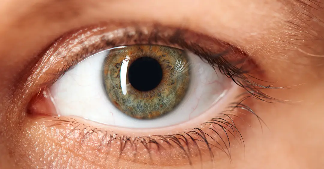 Nova pesquisa investiga efeitos na visão em intoxicação por metanol