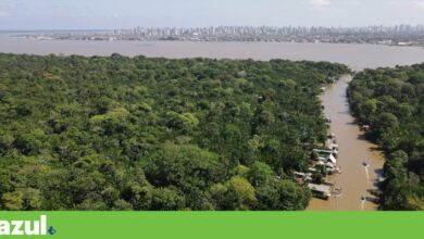 O que está a faltar para a COP30 em Belém encontrar o caminho para um acordo?