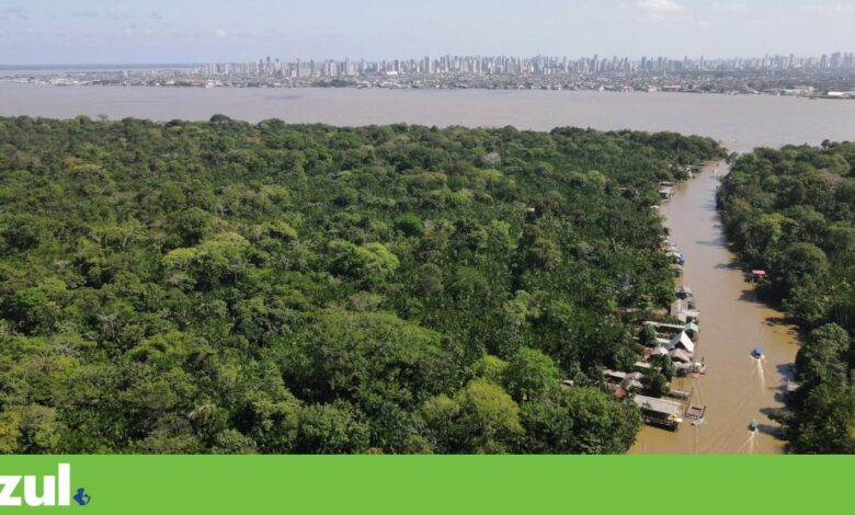 O que está a faltar para a COP30 em Belém encontrar o caminho para um acordo?