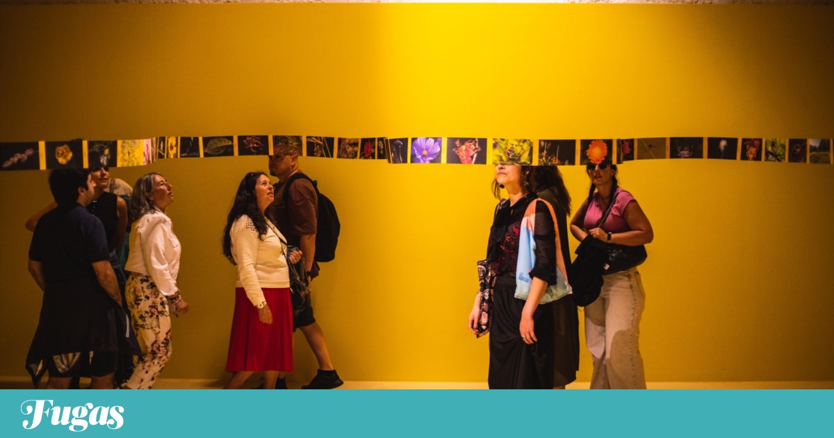 O que fazer? Segunda é dia de sonhar com livros e <em>Um Ano no Parque</em>