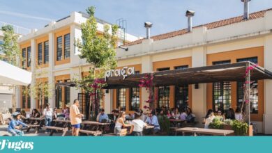 O simplesmente… Vinho chega a Lisboa com 48 <em>vignerons</em>