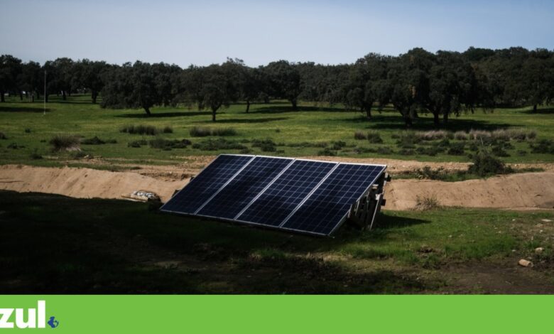 OCDE alerta que políticas fragmentadas prejudicam combate à “tripla crise” planetária