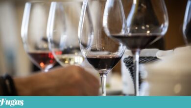 Onze vinhos para a mesa de Natal