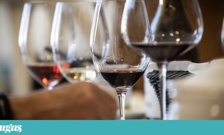 Onze vinhos para a mesa de Natal