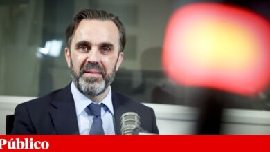 Ordem dos Médicos critica projecto do Governo para acompanhar grávidas de baixo risco e ataca silêncio da ministra