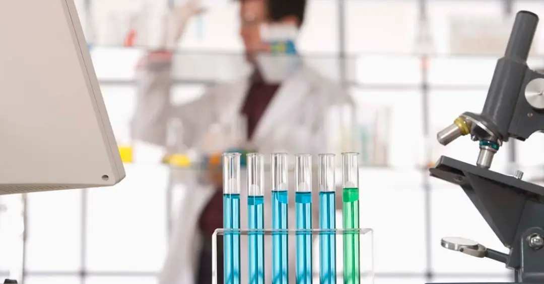 Os pesquisadores brasileiros que mais influenciam políticas públicas de saúde mundo afora