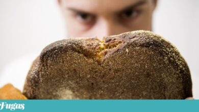 Padaria Gleba pede restruturação da dívida, que ascende a 12 milhões de euros