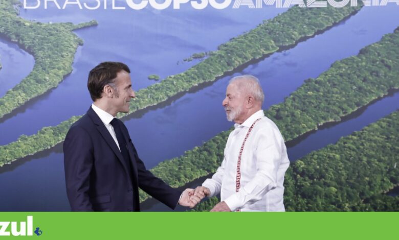 Países europeus apoiam iniciativa francesa para proteger floresta tropical do Congo