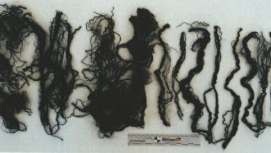 Polícia Judiciária pede ajuda à população de Lisboa em investigação a homicídio de um bebé