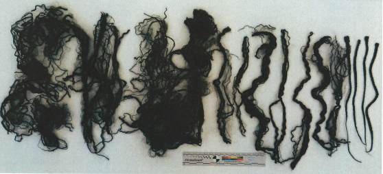 Polícia Judiciária pede ajuda à população de Lisboa em investigação a homicídio de um bebé