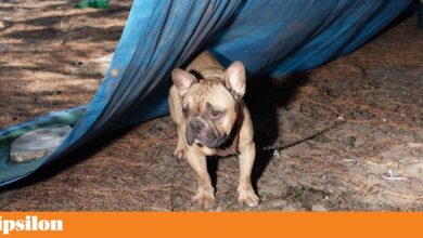 Primeira edição do prémio de fotografia Narrativa distingue Nuno Andrade