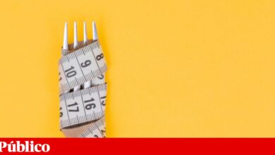 Quatro projectos portugueses ganham bolsa de jornalismo e ciência — e um é do PÚBLICO