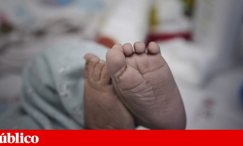 Recém-nascido encontrado morto numa lixeira em Coimbra