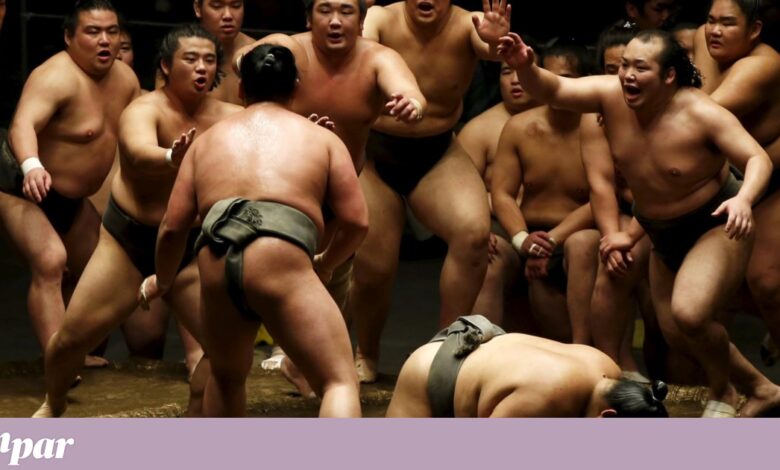 Ringues de sumo no Japão estão interditos a mulheres — até à chefe de Governo