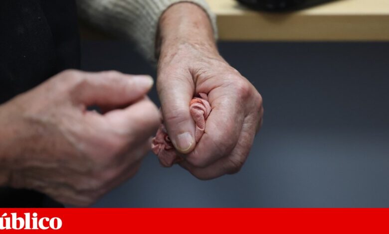 Segurança Social encerra lar ilegal em Setúbal com 43 idosos por “higiene precária”