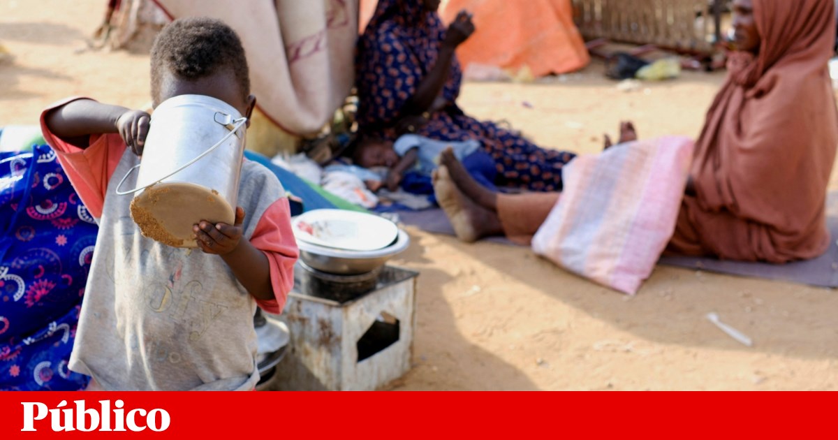 Sudão: ONU investiga relatos de massacres e desaparecimentos em El Fasher