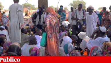 Sudão: organizações humanitárias denunciam massacres e desaparecimentos em El-Fasher