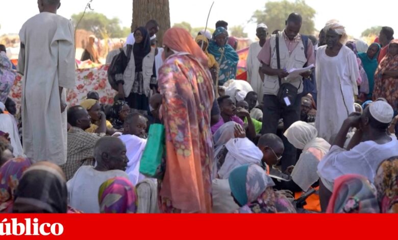 Sudão: organizações humanitárias denunciam massacres e desaparecimentos em El-Fasher
