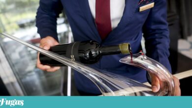 Tendências: As mudanças no vinho vistas pelo prisma optimista dos únicos <em>masters sommeliers</em> portugueses