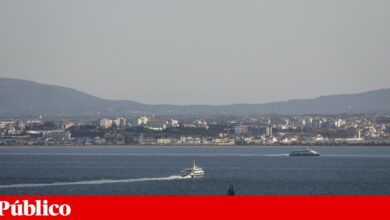 Transtejo-Soflusa garante à Câmara do Seixal articulação dos horários com autocarros