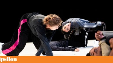 Três duplas de irmãos gémeos questionam ""a lógica da competição" em <i>Bright Horses</i>