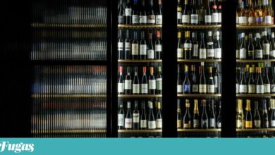 Treze vinhos para pôr no sapatinho daqueles de quem gostamos