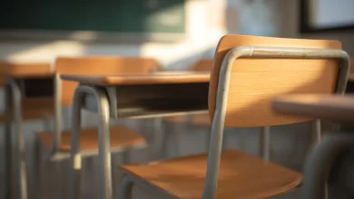 Um quarto dos alunos do 2.º ano em risco de ter dificuldades de compreensão de leitura