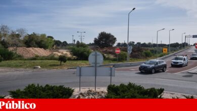 Vem aí o maior parque verde urbano de Cascais? Câmara vai comprar terrenos por 30 milhões de euros