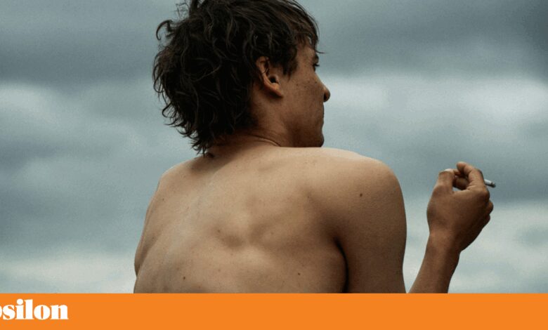 <em>Urchin</em>, <em>Zootrópolis</em> e outras estreias para esta semana