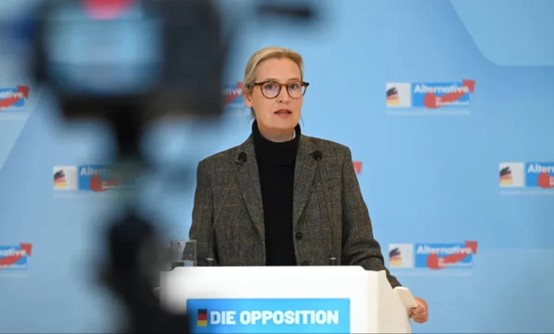 "Não sei o que vamos lá fazer". Líder da AfD critica viagem à Rússia
