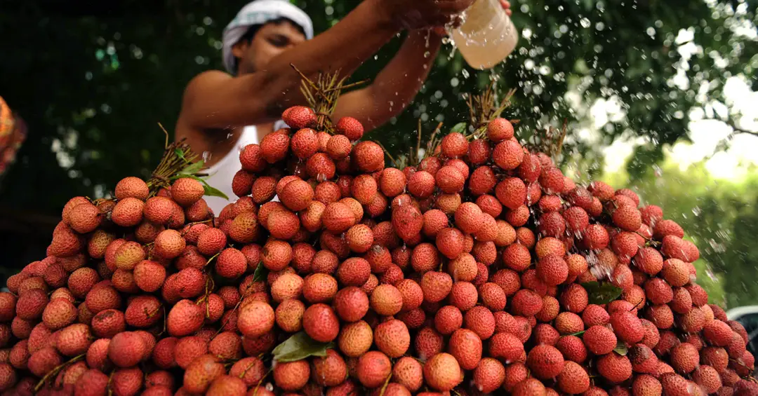 A hora e a vez da lichia: conheça nutrientes e benefícios da fruta que bomba no fim do ano