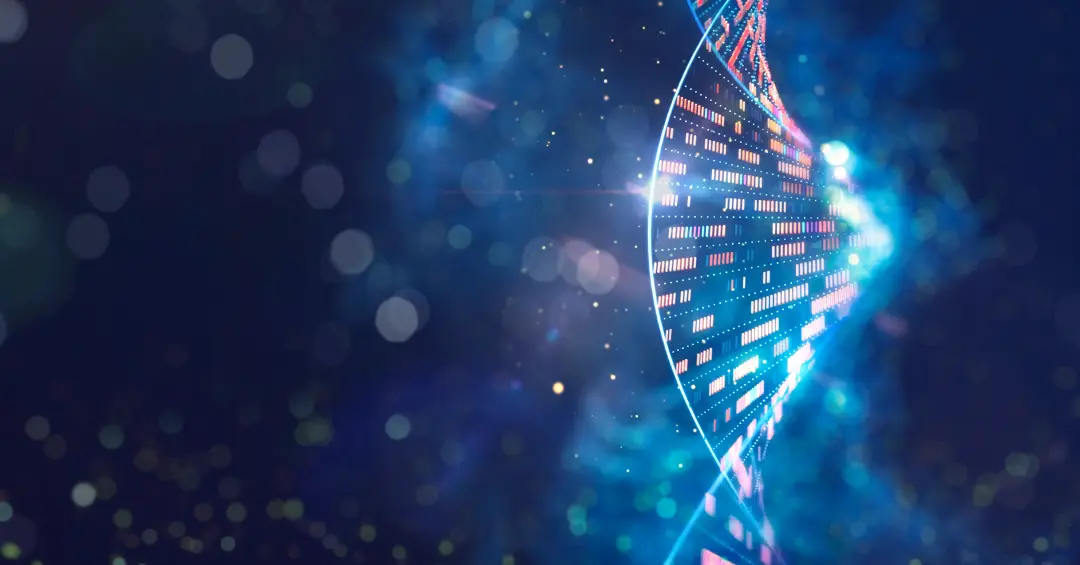 A ‘fonte da juventude’ da imunidade e outras 9 descobertas que marcaram o ano em respeitado centro americano