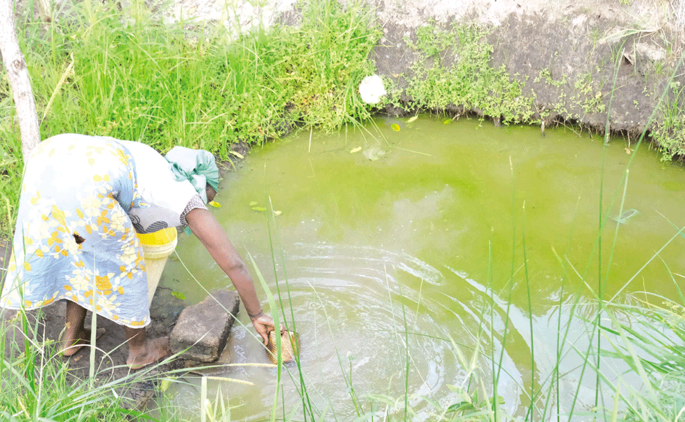 KUFA – PROVÍNCIA DE MAPUTO: Onde humanos e bichos disputam água do charco