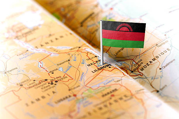 Malawi, segundo país da África com maior taxa de desflorestação