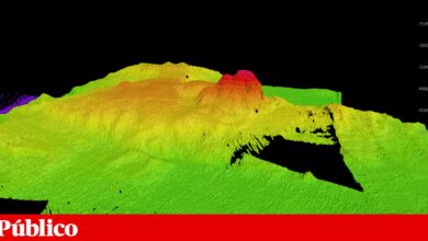 Monte submarino no Atlântico é baptizado por cientistas portugueses
