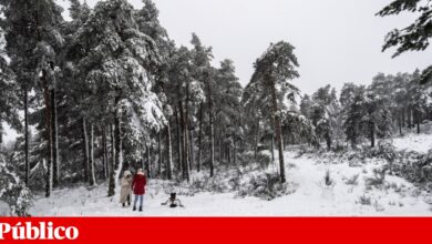 Neve fecha acesso ao maciço central da serra da Estrela. Escolas de Montalegre encerradas