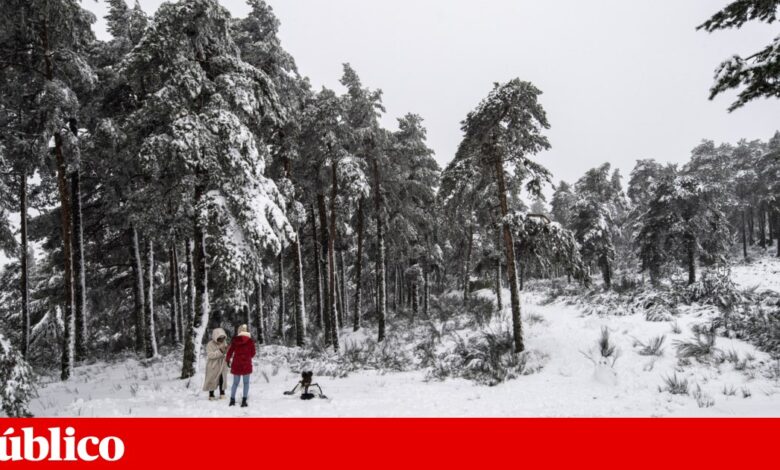 Neve fecha acesso ao maciço central da serra da Estrela. Escolas de Montalegre encerradas