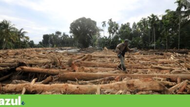 Número de mortos na Indonésia devido a inundações sobe para 631