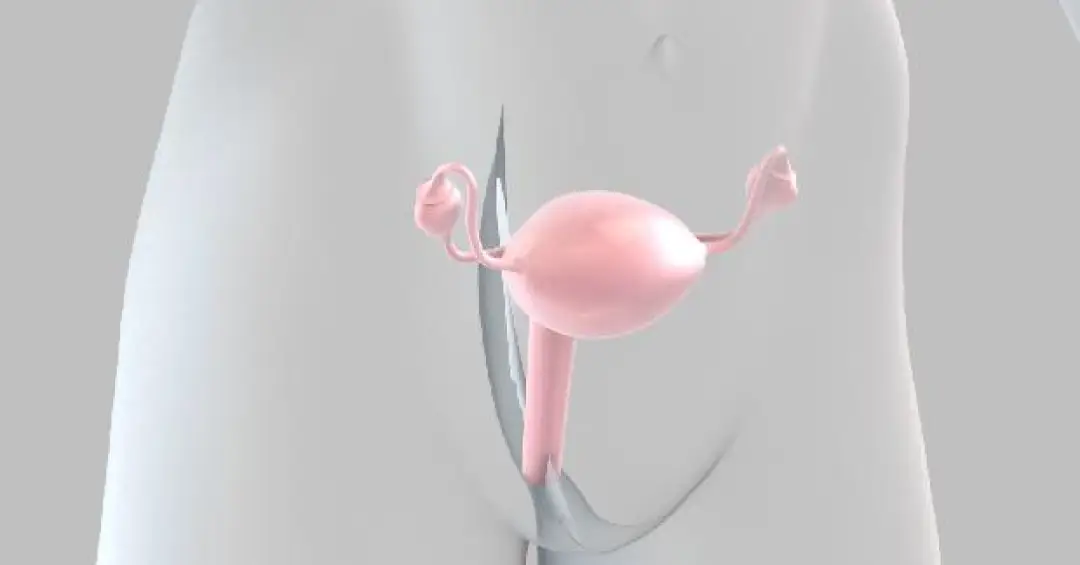 Depois de uma década, a ciência reacende a esperança no câncer de ovário