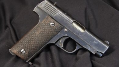 Detido por posse ilegal de arma de fogo