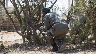 MATUTUÍNE: ANAC repudia agressão de fiscal no Parque Nacional de Maputo