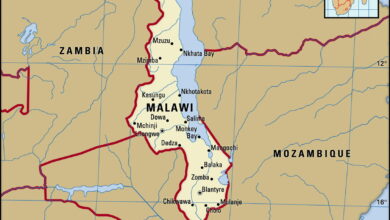 Malawi: Presidente Mutharika anuncia abolição de taxas escolares do ensino primário e secundário